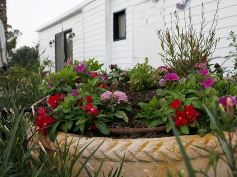 Kinneret Village Exterior photo